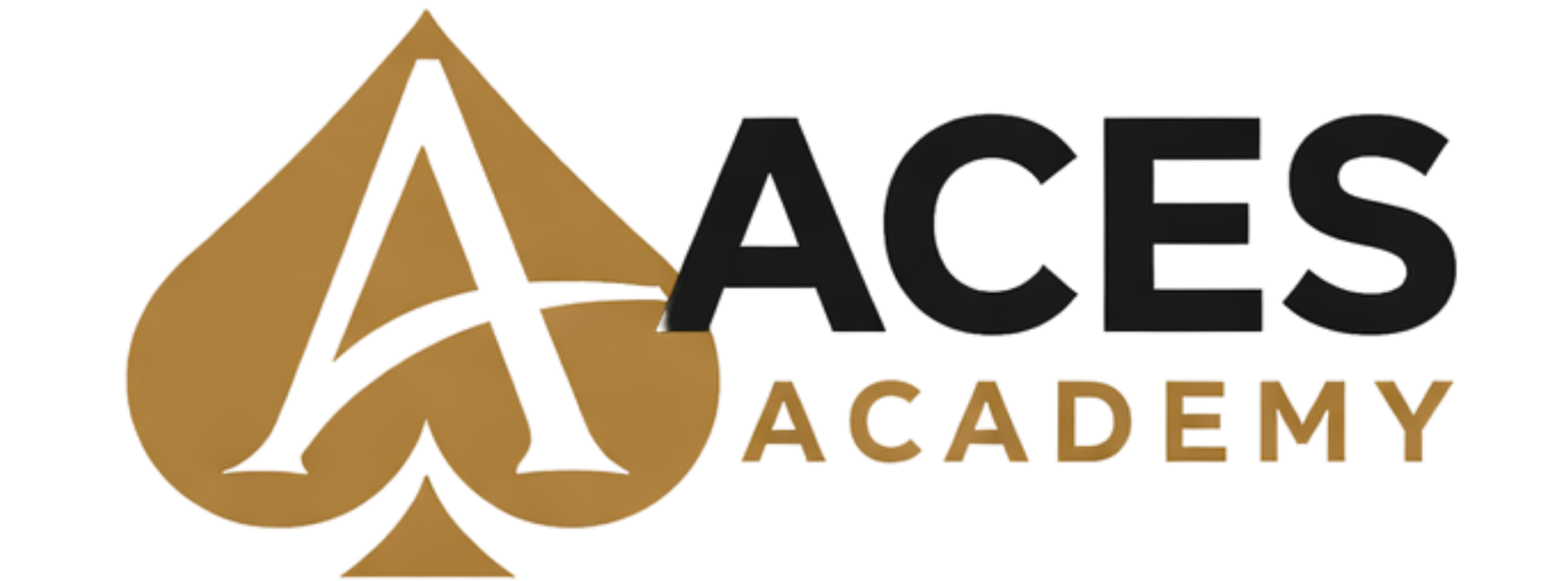 Aces Academy
