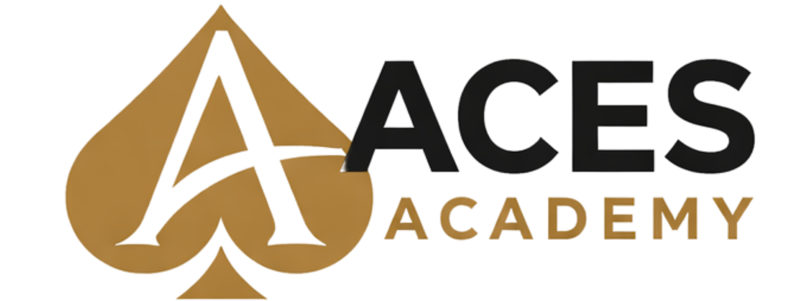 Aces Academy